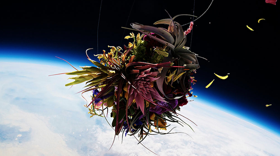 Alison Klayman Directs “Flower Punk”